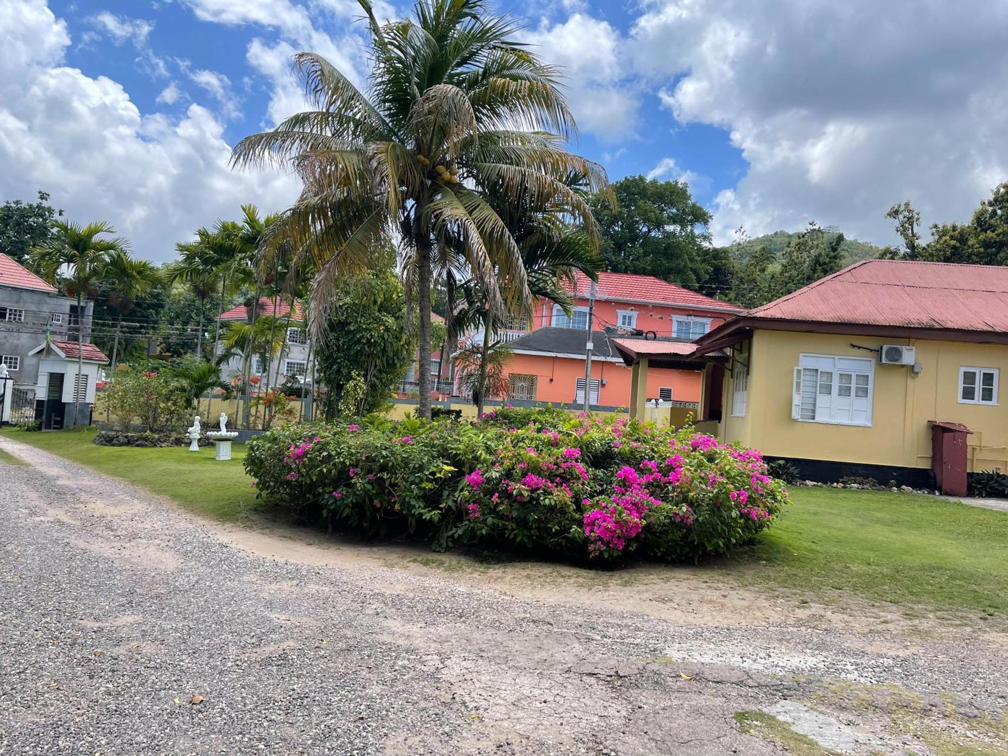 Little Shaw Park Guest House โอโชรีโอส ภายนอก รูปภาพ